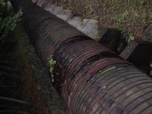 2001.08.08 15.22.23.jpg